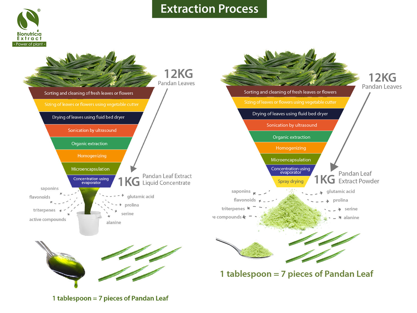 Pandan Leaf Extract Powder (Pandanus Amaryllifolius)