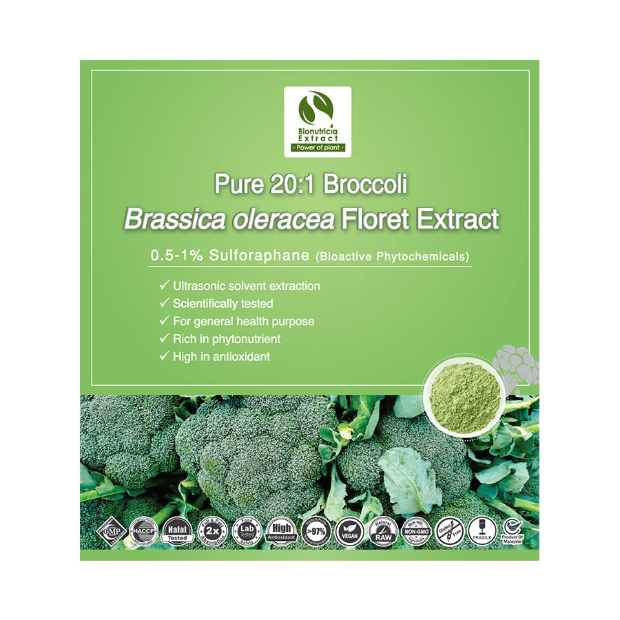 Broccoli Floret Extract -NUTRICIA – Standardized BIO Oleracea) Powder (Brassica