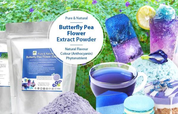 Butterfly Pea Flower Extract Powder