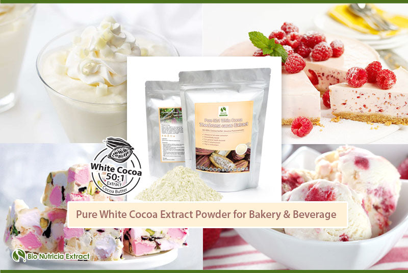 White Cocoa (Theobroma Cacao) Standardized Extract Powder